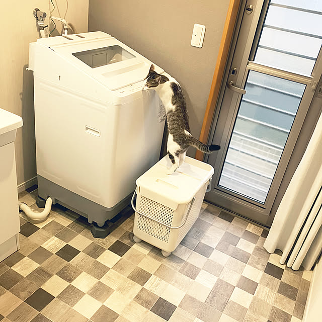 ha_koさんの実例写真