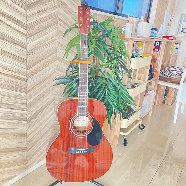 Pecoさんの実例写真