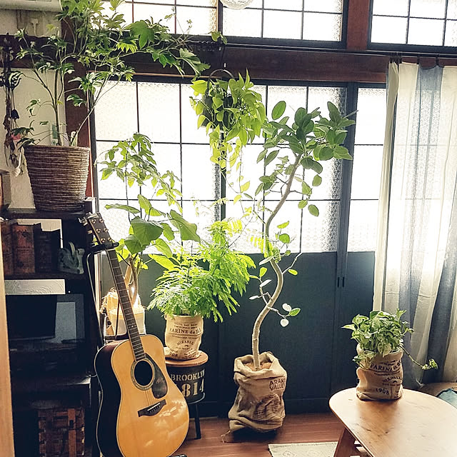 saku-naraさんの実例写真