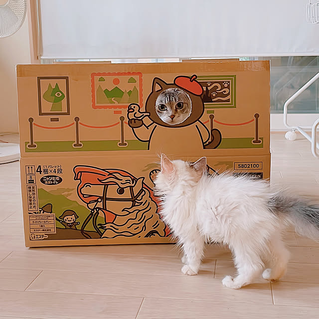 milkcocoaさんの実例写真