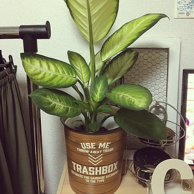 yomiyomiさんの実例写真