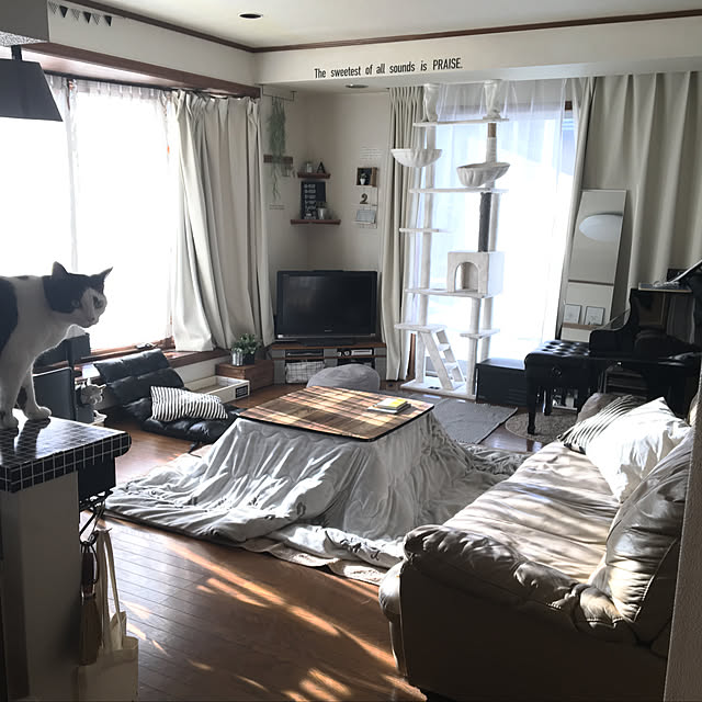 mahi1101さんの実例写真