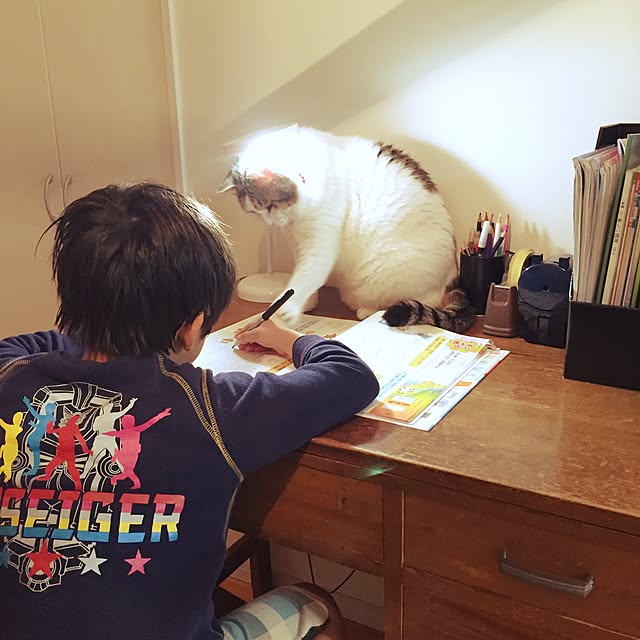 chiimalさんの実例写真