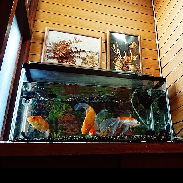 NOAHさんの実例写真