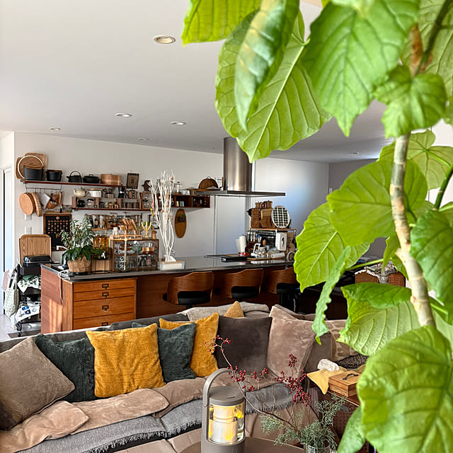 kojimasaさんの部屋