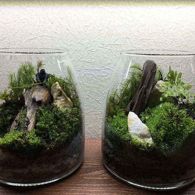 実例写真