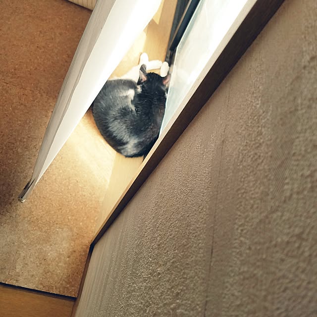 Kinanさんの実例写真