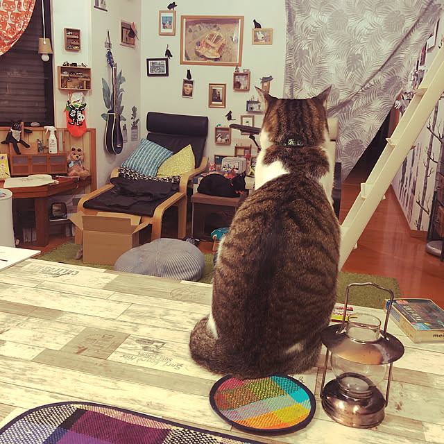 jijiさんの実例写真