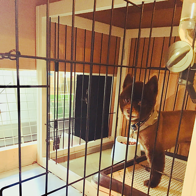 remoza0310さんの実例写真