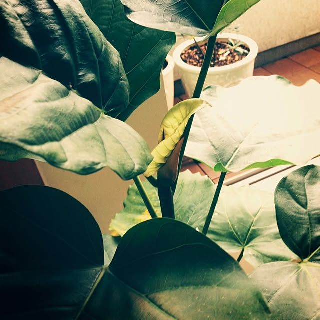 y.さんの実例写真
