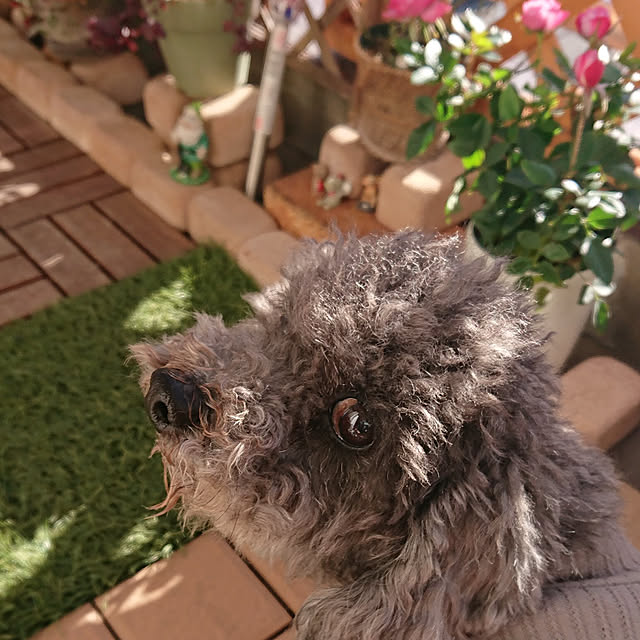 kanonさんの実例写真