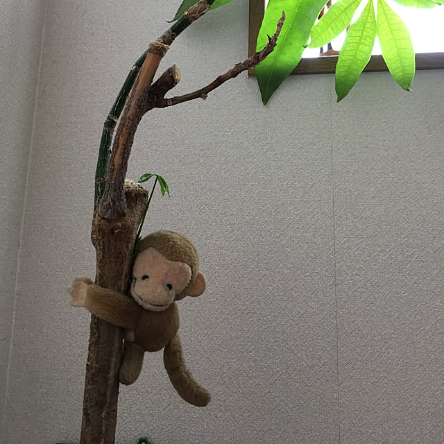 kobaさんの実例写真