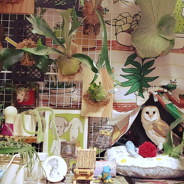 mikiさんの実例写真