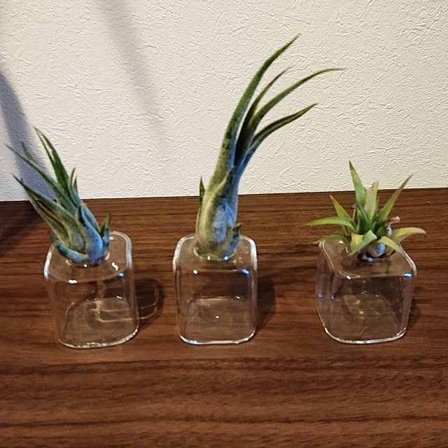 Yuccoさんの実例写真