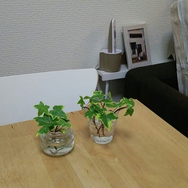 BuBuさんの実例写真