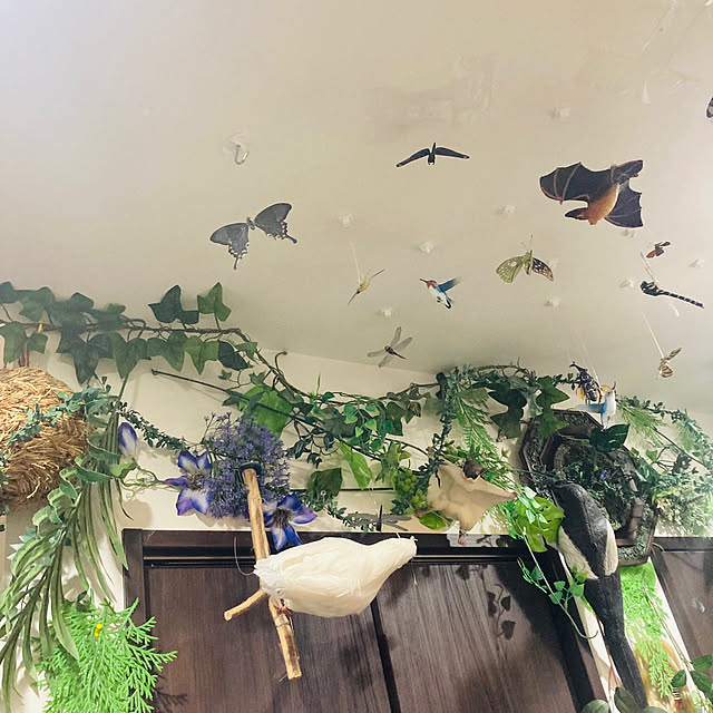 takakuzenさんの部屋