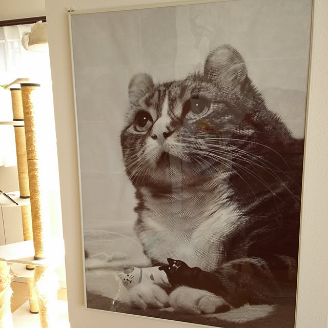 836さんの実例写真