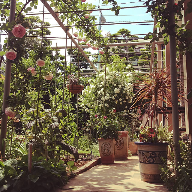 botanさんの実例写真