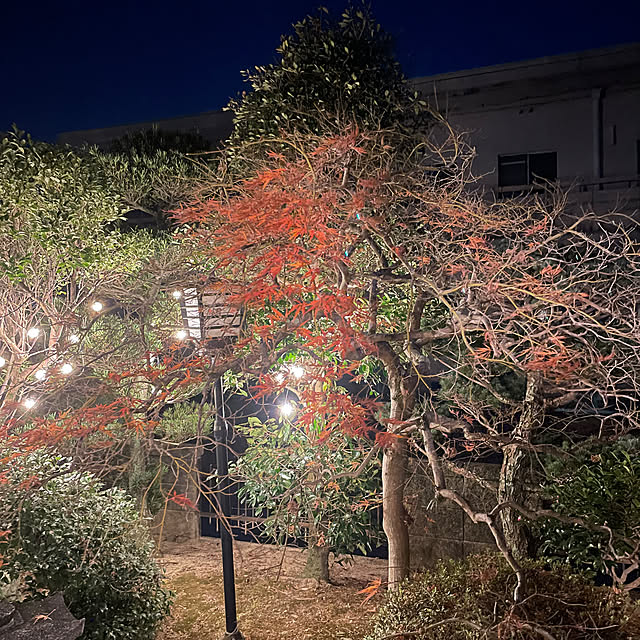 shin0719さんの実例写真