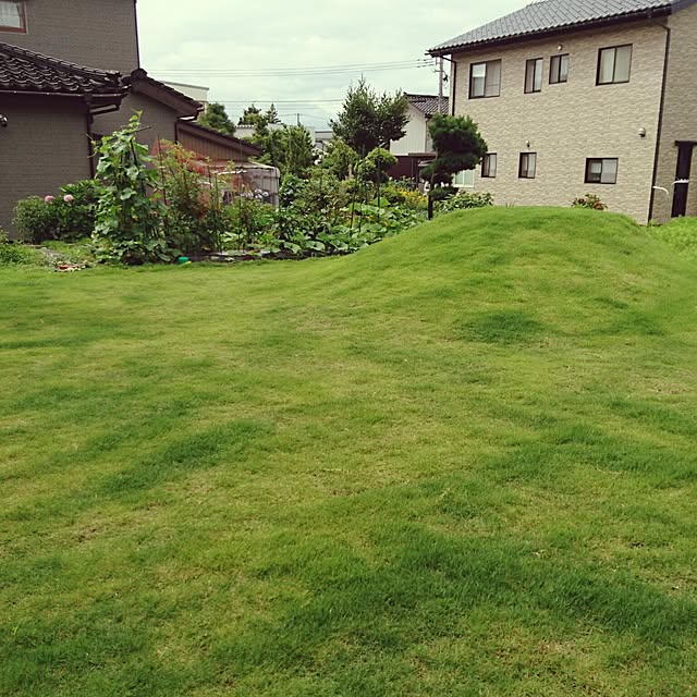 s_h_yさんの実例写真