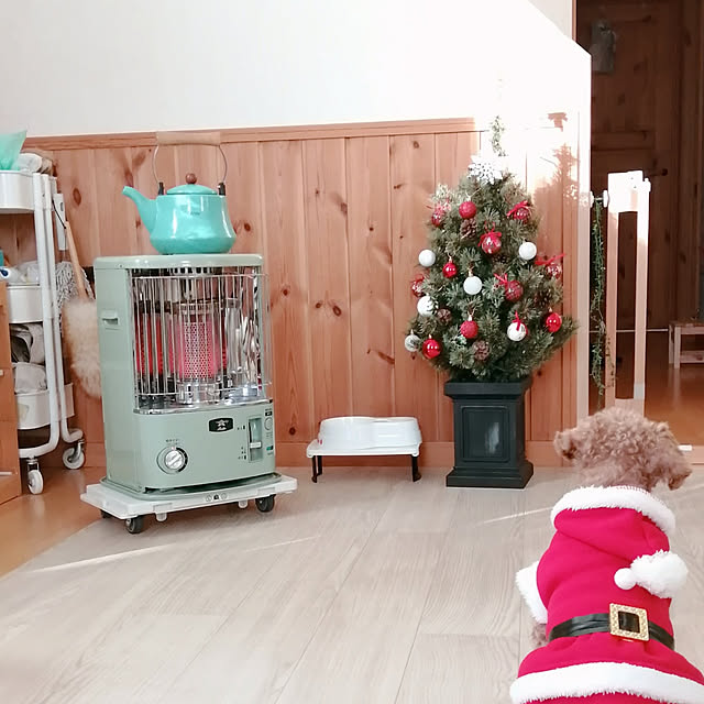 satosanさんの実例写真