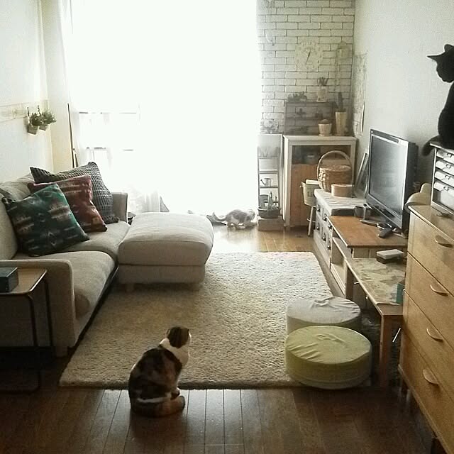 mikiさんの実例写真