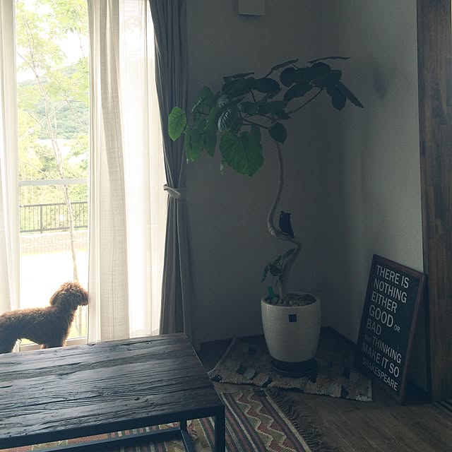 nicoさんの実例写真