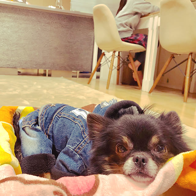 mamakoさんの実例写真