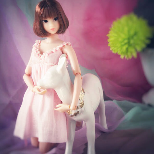 Sonokoさんの実例写真