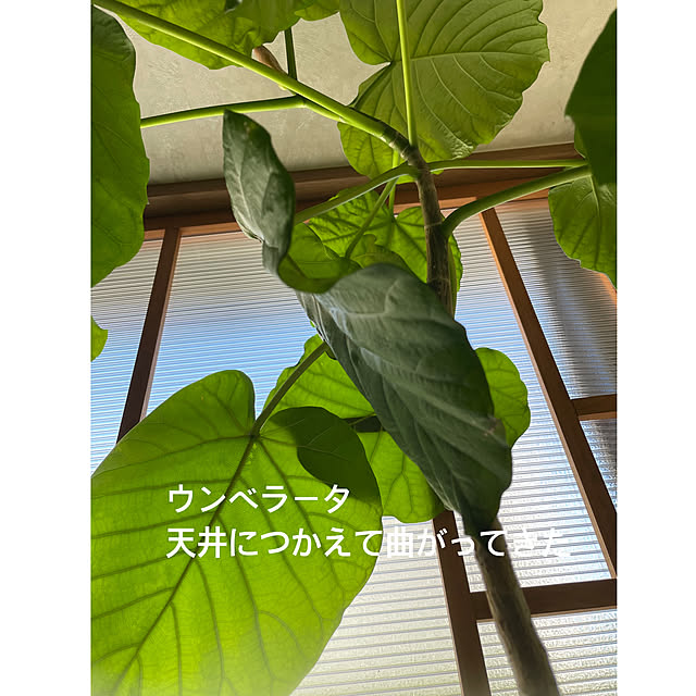 snowさんの部屋