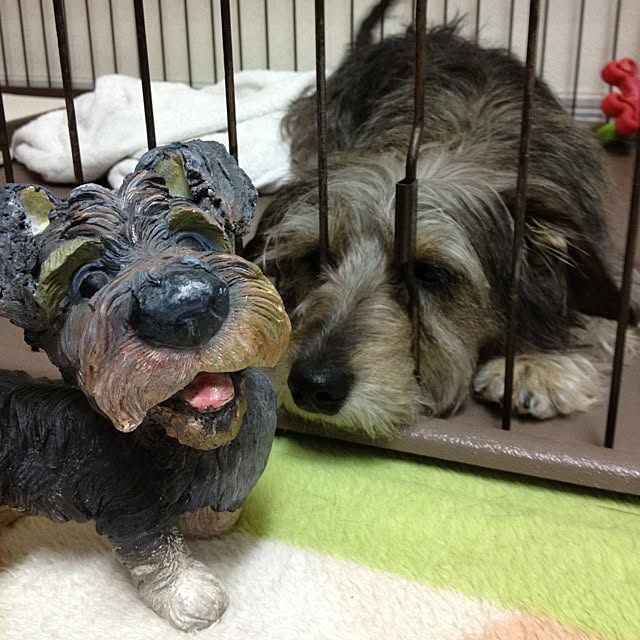 makiさんの実例写真
