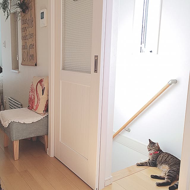 lovecatさんの実例写真
