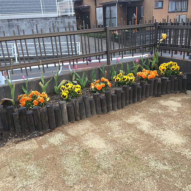 nanaさんの実例写真