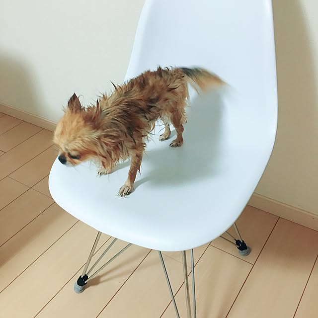 rinrinさんの実例写真