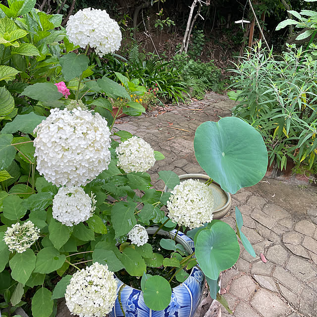 emiuraranさんの部屋
