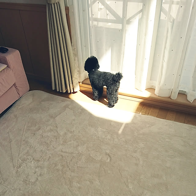 yukaさんの実例写真