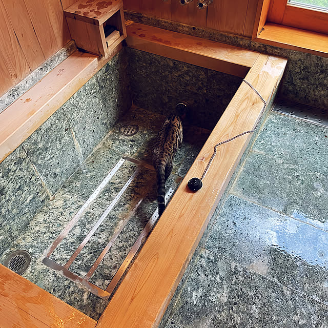 kabu10さんの実例写真
