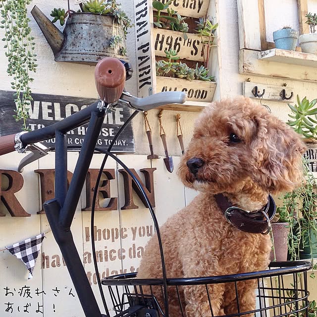 arch.to.meetさんの実例写真