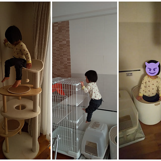 haruissaさんの実例写真