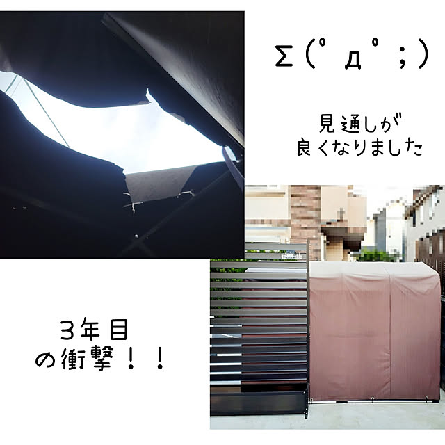 suzuさんの実例写真
