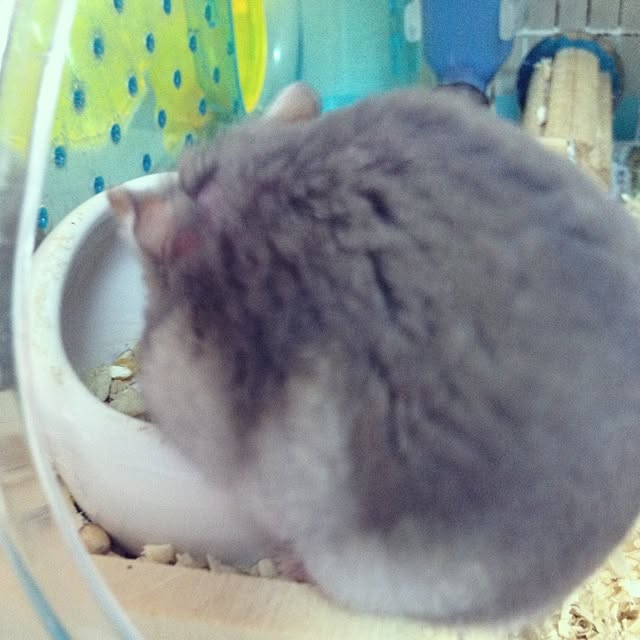 shi-tasoさんの実例写真