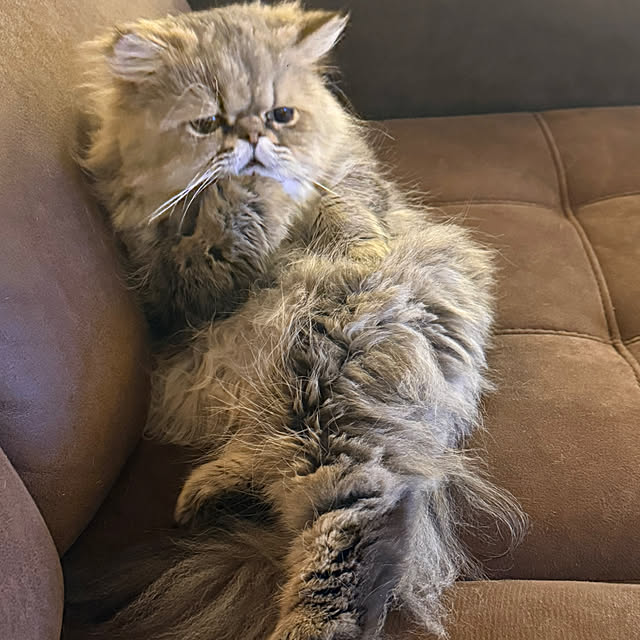 Mokunaさんの部屋