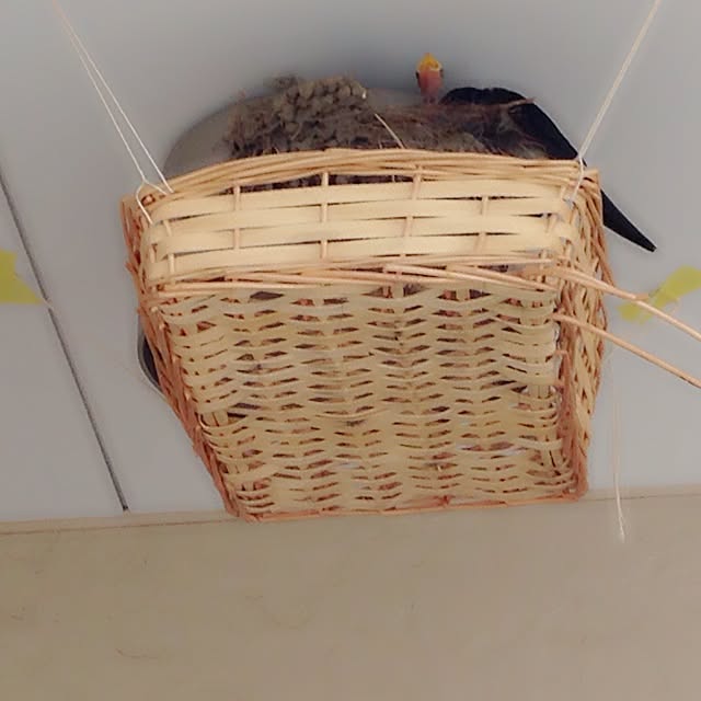 Yukoさんの実例写真