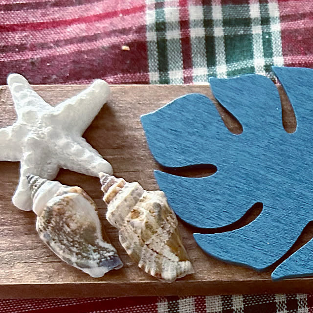 tomoさんの実例写真