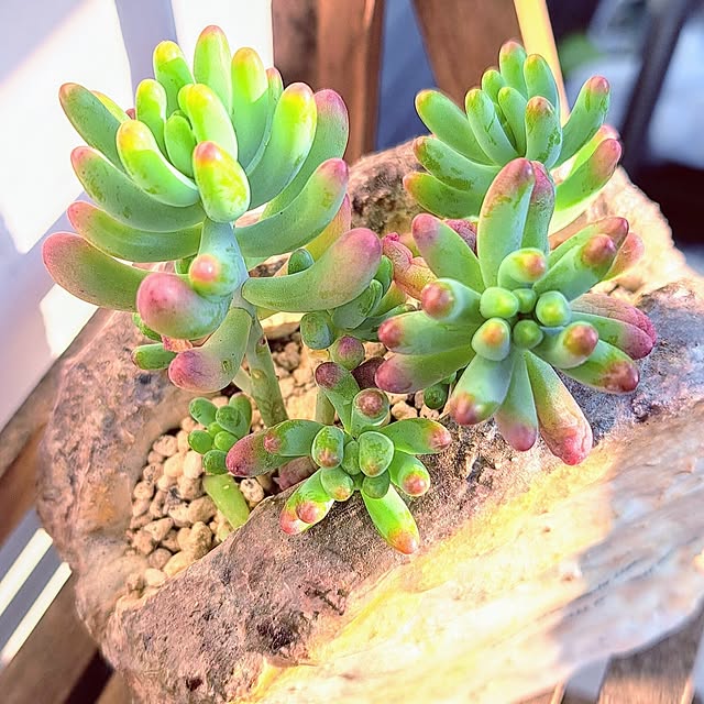 noaさんの部屋