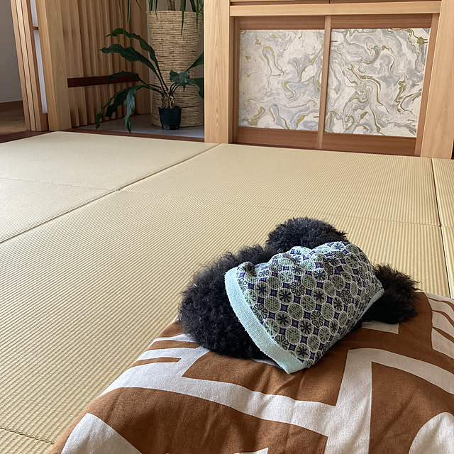 hira_muji_mihiさんの実例写真