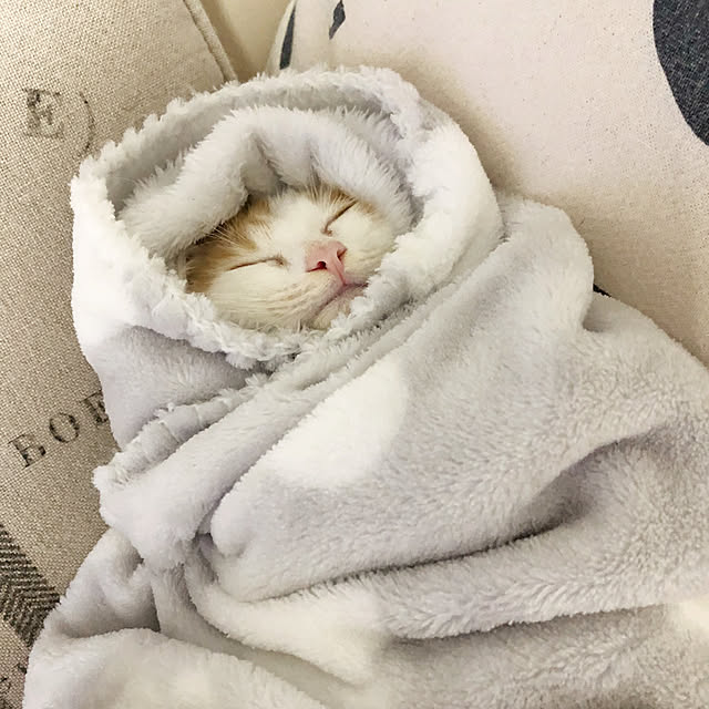 yuchiさんの実例写真