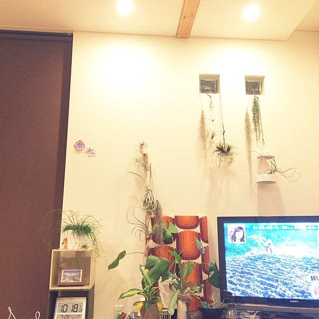 Ryokoさんの実例写真