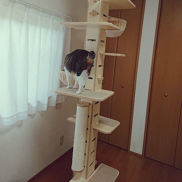 nachiさんの実例写真