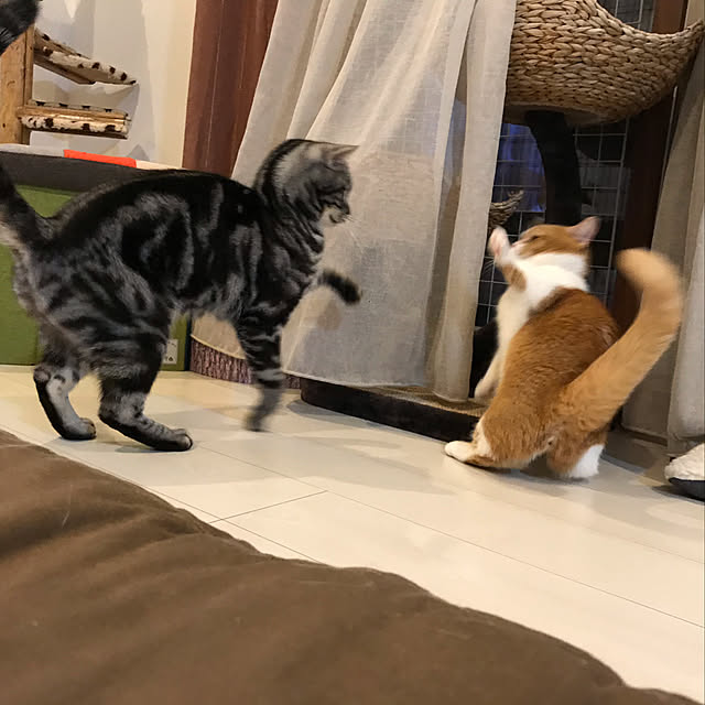 KotarouKunさんの実例写真